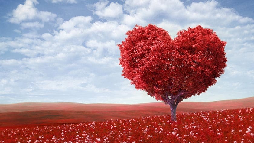 VALENTIN