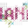 NANA babahordozás logo
